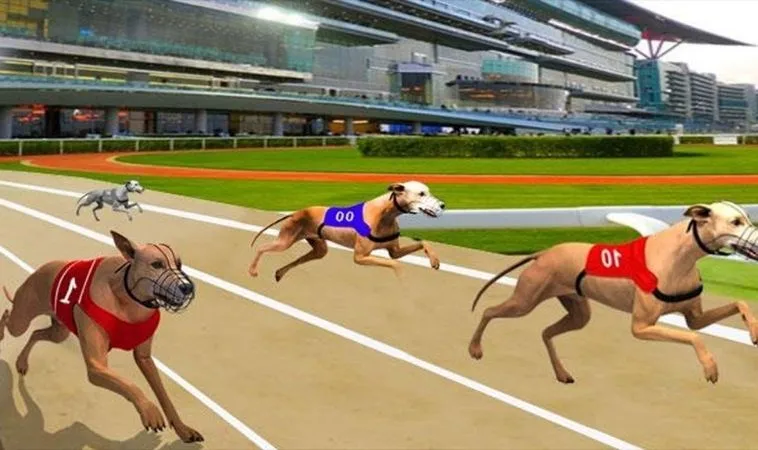 Cách chơi game nhanh Đua Chó Onbet