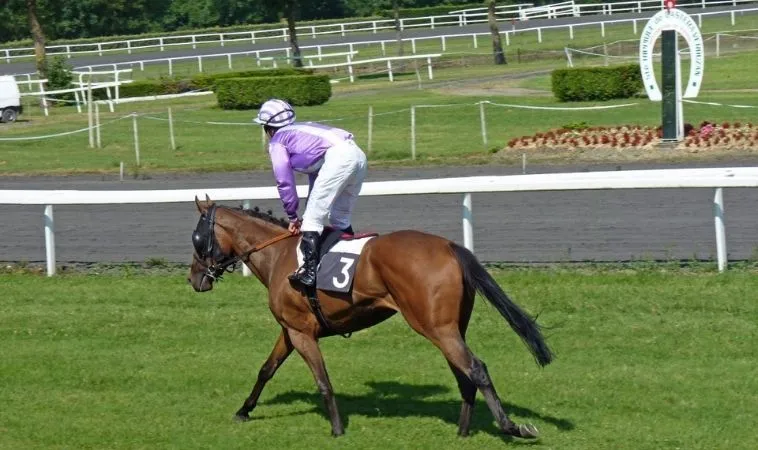 Cần tìm hiểu về bộ môn đua ngựa OnBet trước khi tham gia cá cược